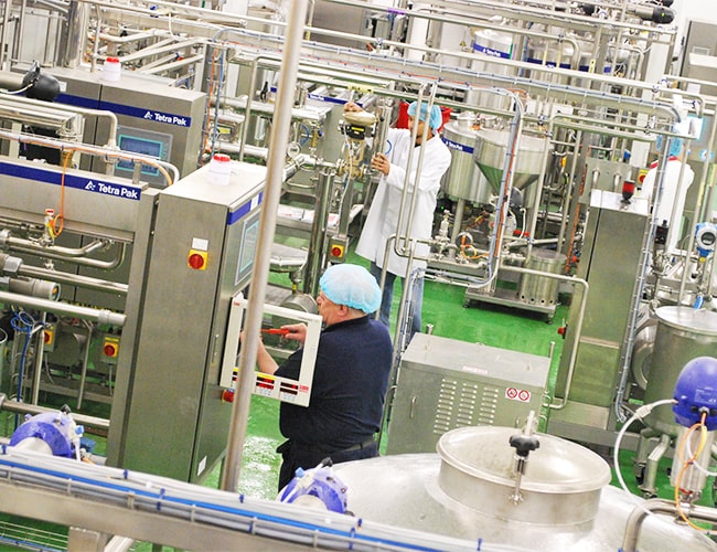 FOOD-PROCESSING-2